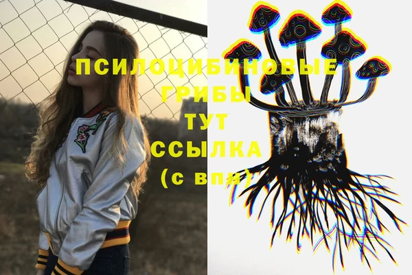 кристаллы Покачи