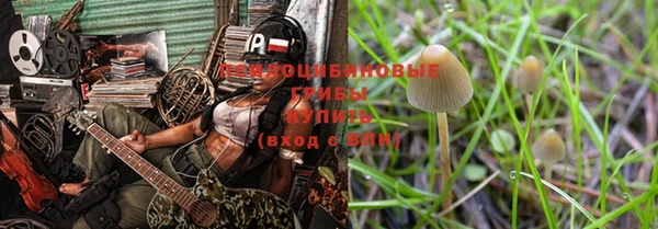 ПСИЛОЦИБИНОВЫЕ ГРИБЫ Болохово