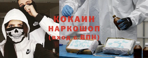 шишки Беломорск