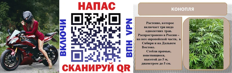 Каннабис MAZAR  Шелехов 